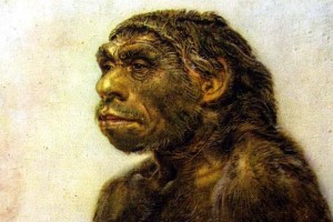 Neanderthal Facial Features